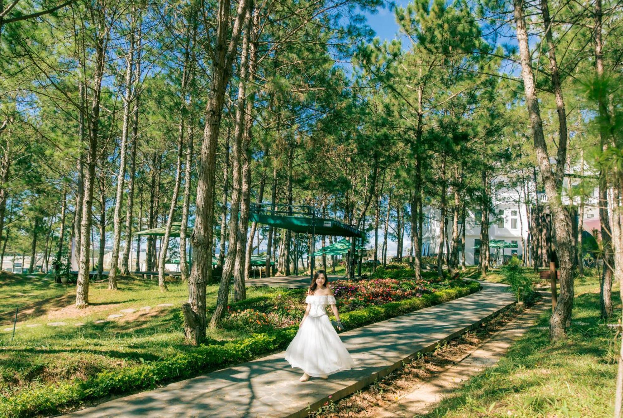 Kim Resort - Khu Nghi Duong Rung La Kim Da Lat Exterior photo